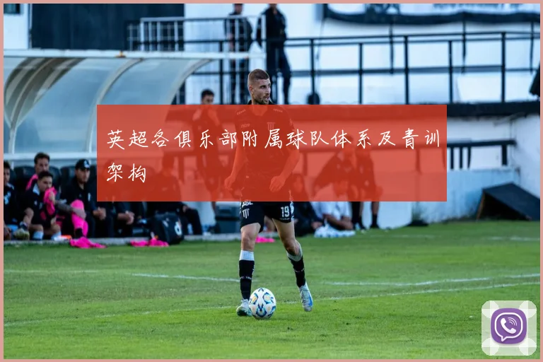 英超各俱乐部附属球队体系及青训架构